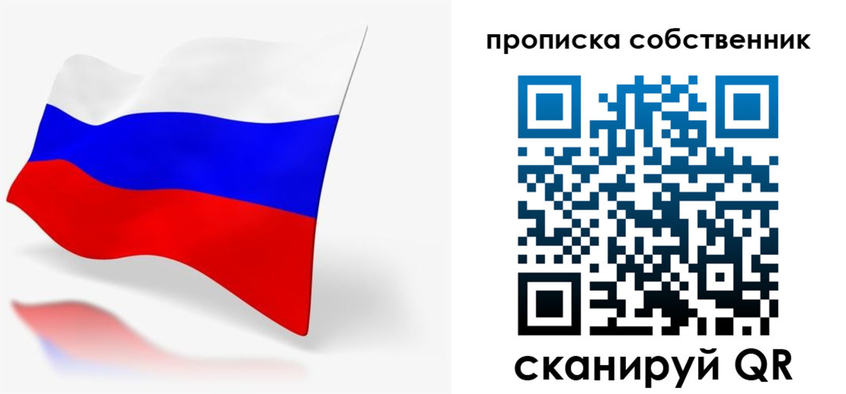 прописка в квартире в Светлогорске